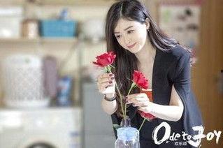 欢乐颂32集在线观看,剧情高潮迭起，人物命运再掀波澜